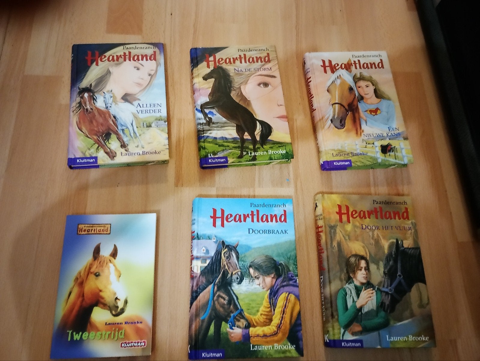 [ook los beschikbaar] Heartland boekenserie - Lauren Brooke, Verzenden, Gelezen, Lauren Brooke