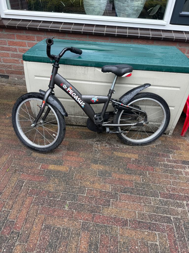 Pegasus kinderfietsje - Erg leuk en stevig!, Ophalen of Verzenden, Gebruikt, Terugtraprem, 16 tot 20 inch