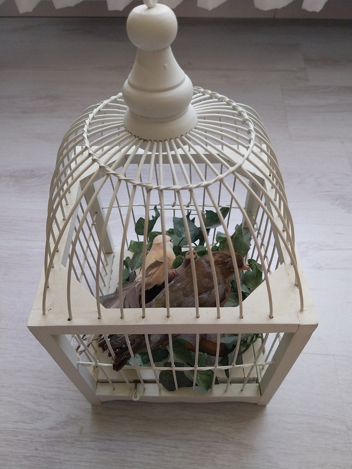 Opzet vink in kootje, Dieren en Toebehoren, Vogels | Hokken en Kooien, Ophalen of Verzenden, Hout, Vogelkooi