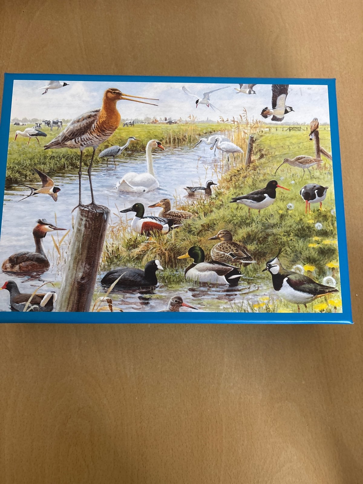 Puzzel met 1000 stukjes - Vogels in de natuur, Ophalen, 500 t/m 1500 stukjes, Zo goed als nieuw, Legpuzzel