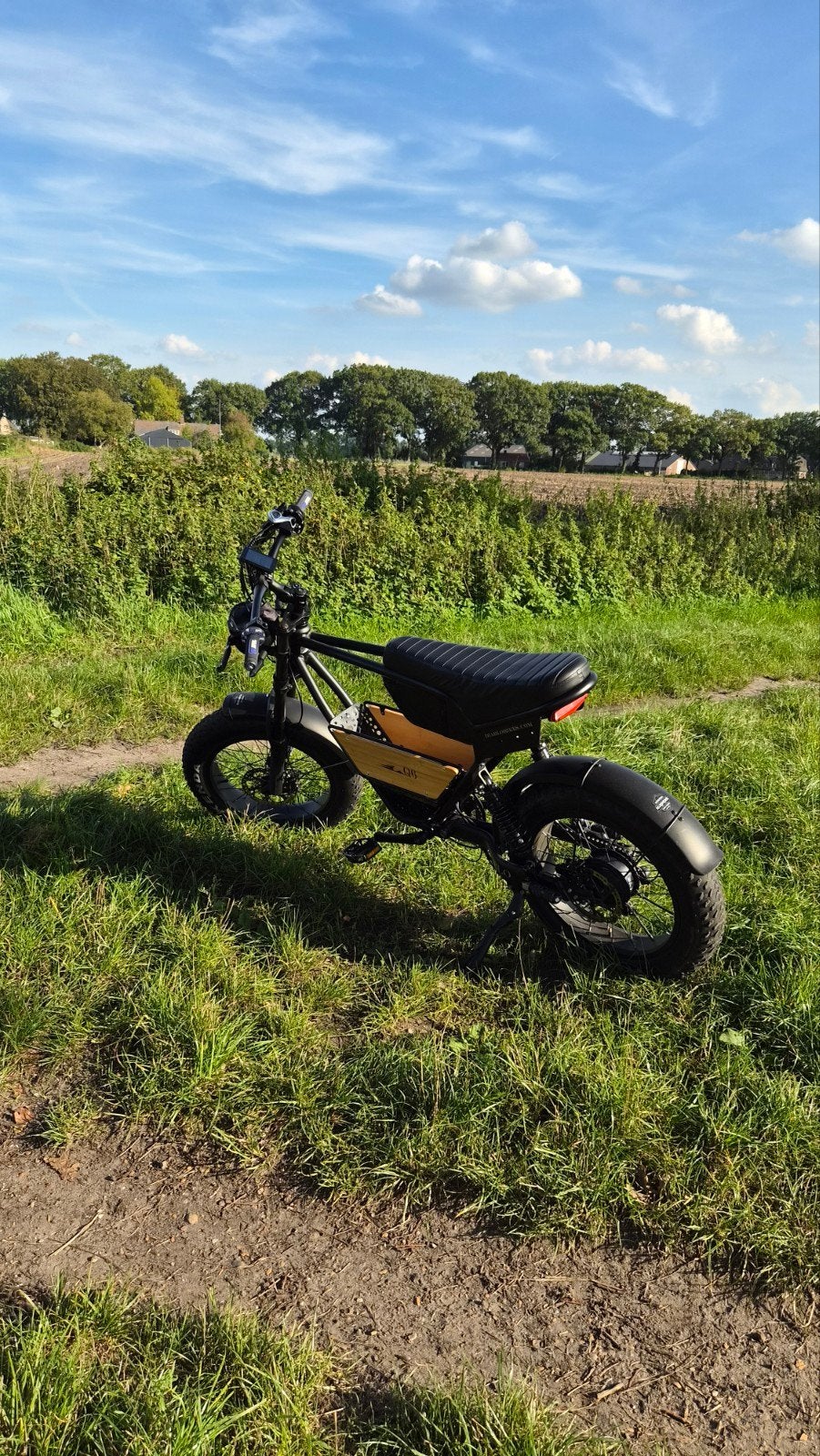 Diablo Q6 Fatbike – 1.150 km – Nieuwe Onderdelen, 7 versnellingen, Zo goed als nieuw, Ophalen, Overige merken