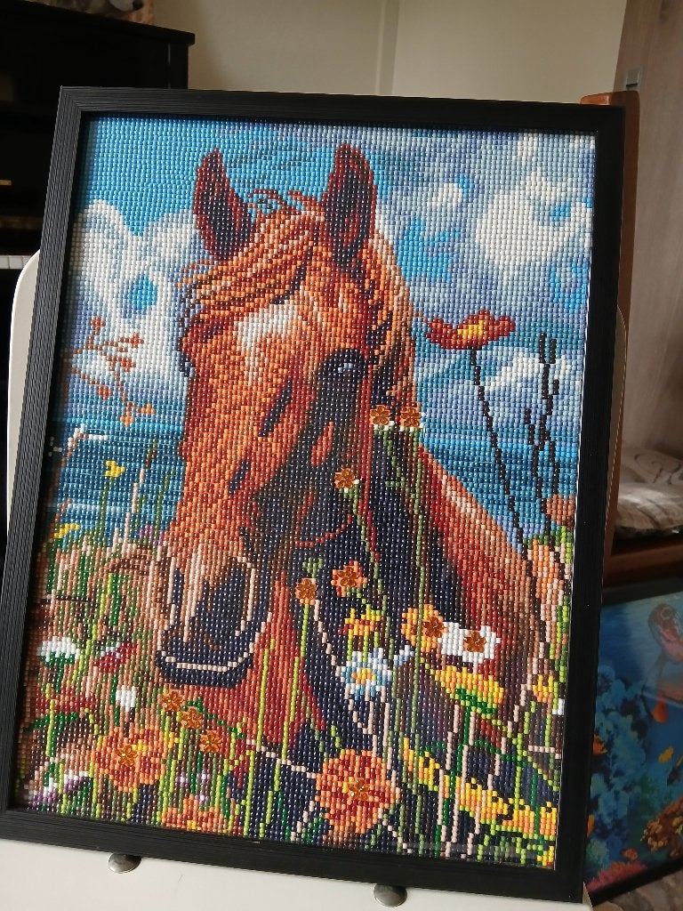 Diamond painting paard schilderij ingelijst, Ophalen of Verzenden