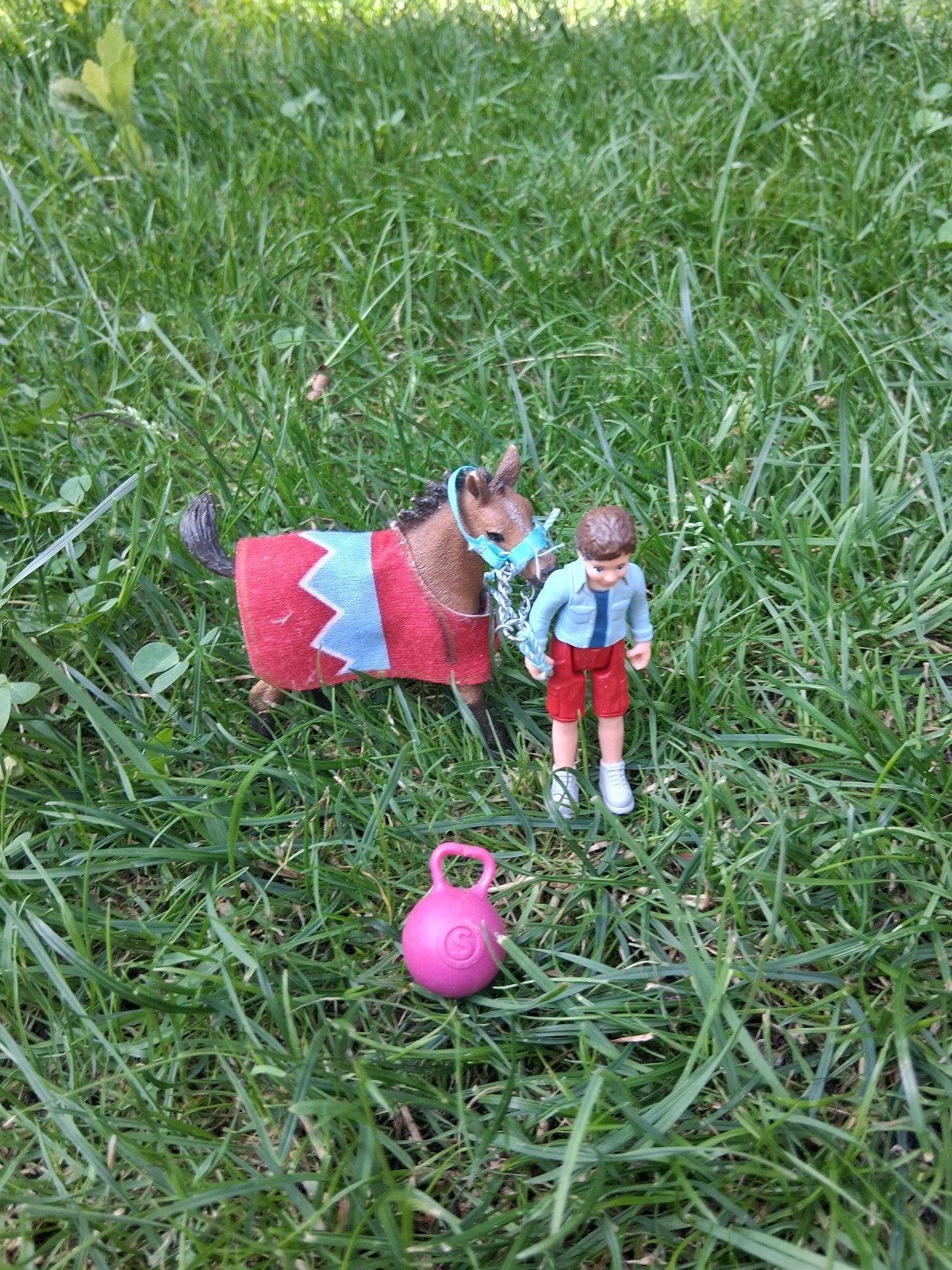 Veulen set Schleich, Ophalen of Verzenden, Zo goed als nieuw
