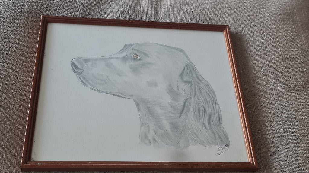Ingelijste potloodtekening van een hond, Ophalen of Verzenden, Tekening, Potloodtekening, Ingelijst