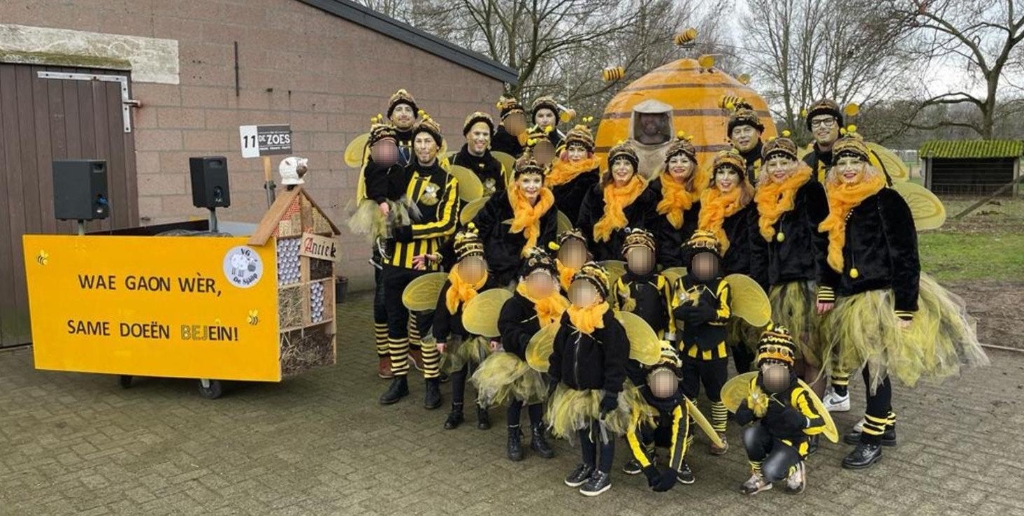 Loopgroep thema bijen, Ophalen, Zo goed als nieuw, Carnaval