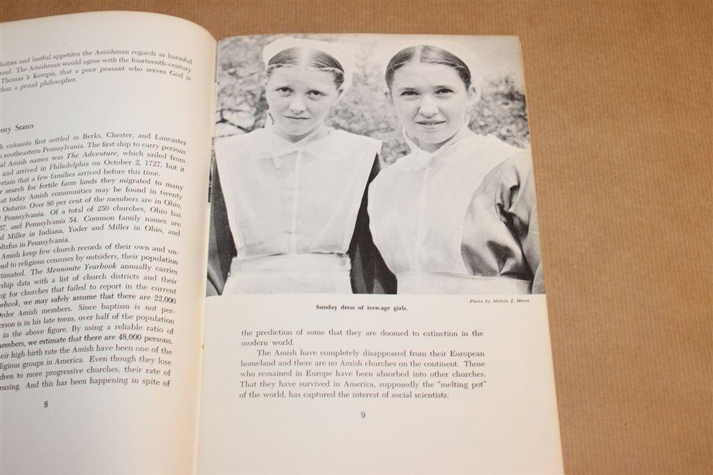 Amish Life — Geloof, Gemeenschap & Cultuur met Foto\'s 1975, Ophalen of Verzenden, Gelezen, Azië