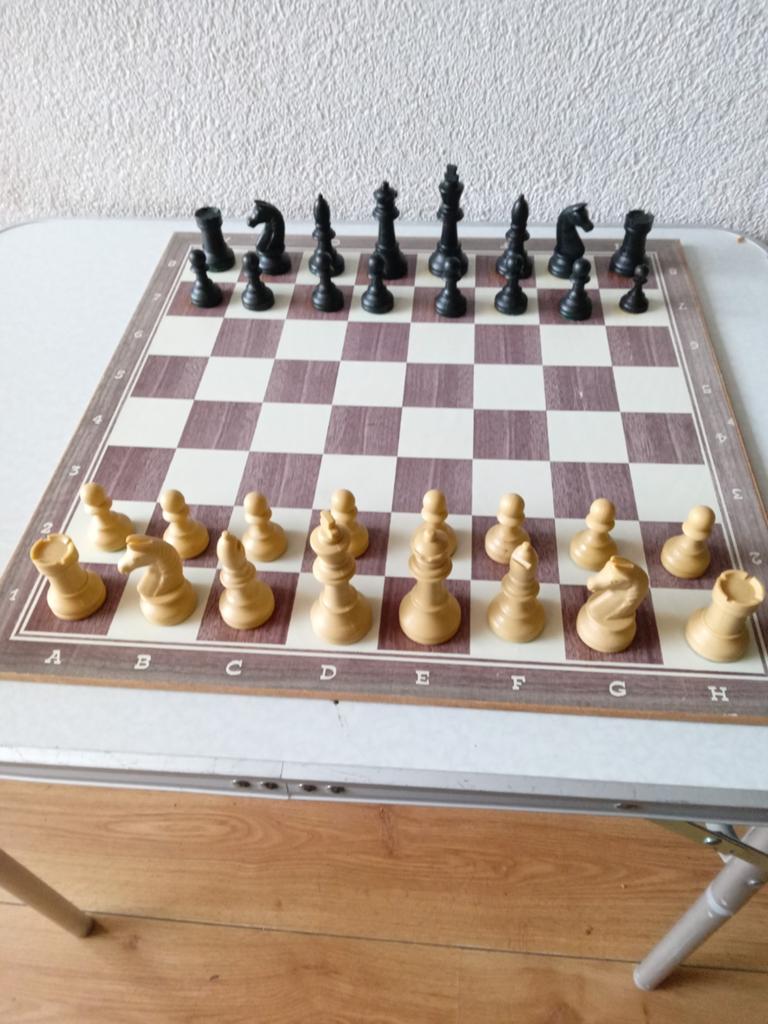 Schaak en damspel., Ophalen of Verzenden