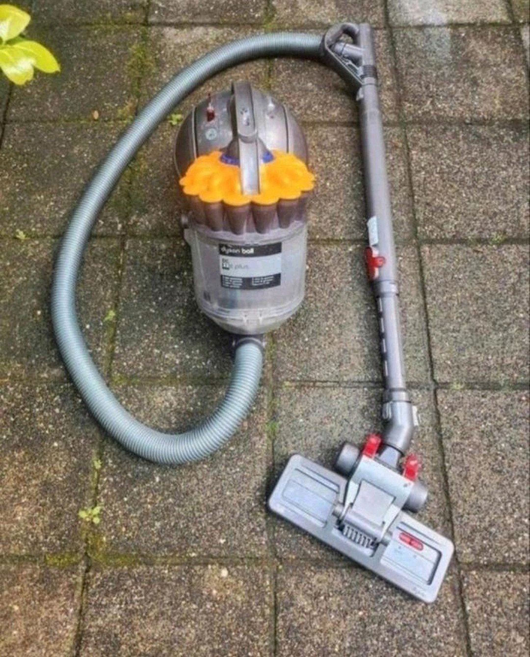 Dyson Ball DC33c Plus Stofzuiger, Ophalen
