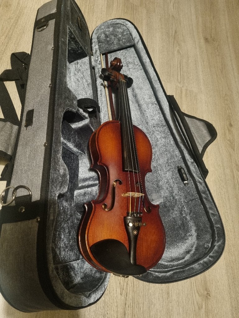 Viool 1/2, Muziek en Instrumenten, Ophalen of Verzenden, 1/2-viool, Viool, Met koffer