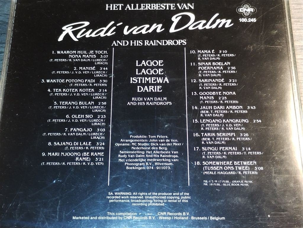 Rudi van Dalm And His Raindrops - Het Allerbeste Van, Ophalen of Verzenden, Zo goed als nieuw