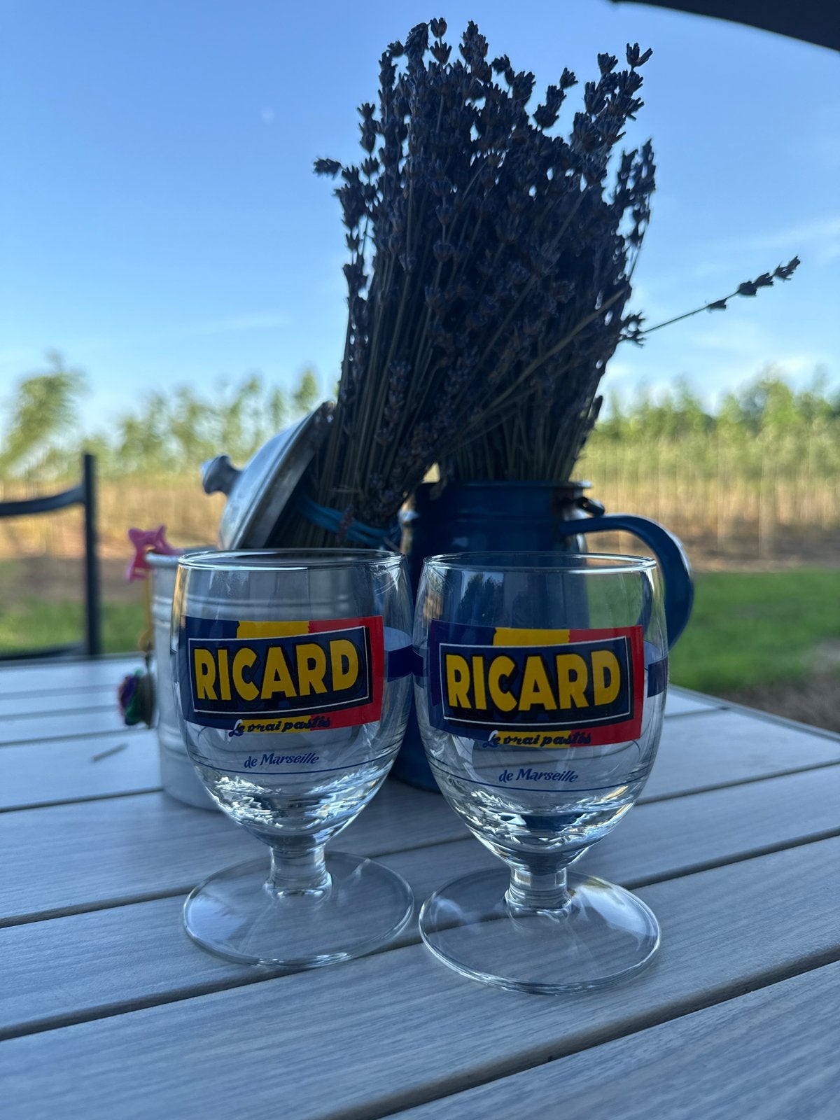 Set van 2 vintage Ricard glazen - Pastis de Marseille, Ophalen of Verzenden