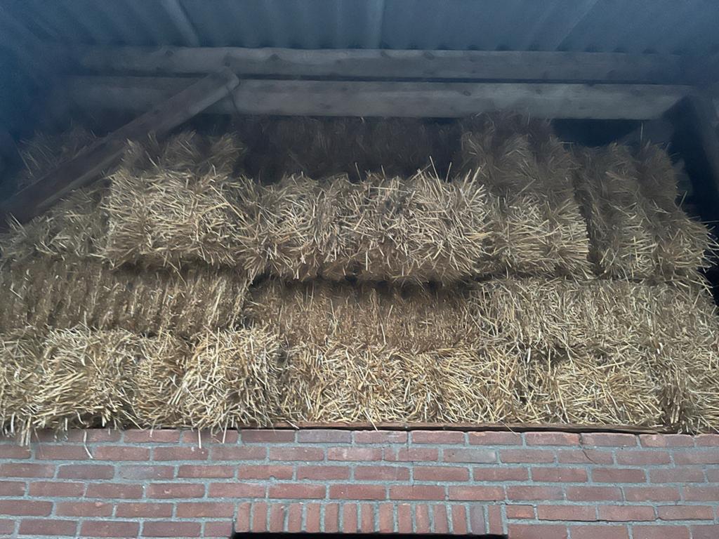 Tarwe stro - Kleine balen, Ophalen, Vee