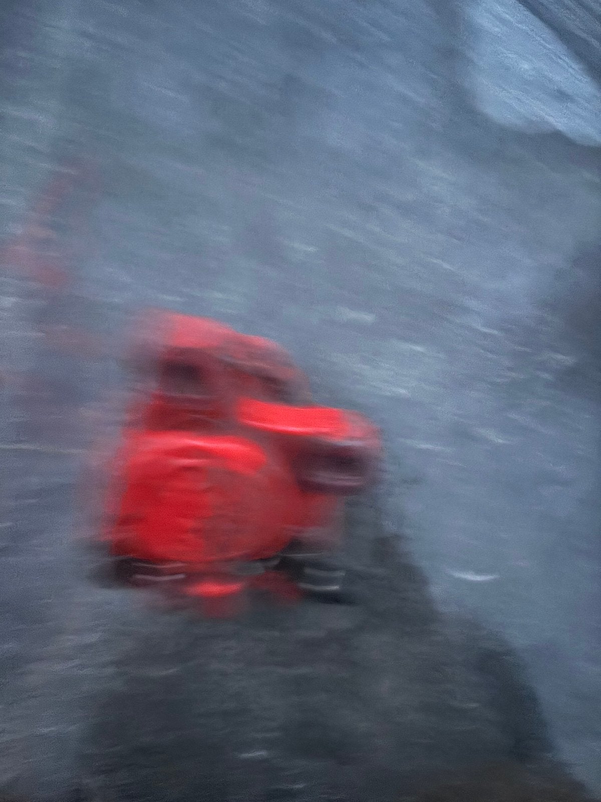 Remklauw peugeot, Mannelijk, Kip