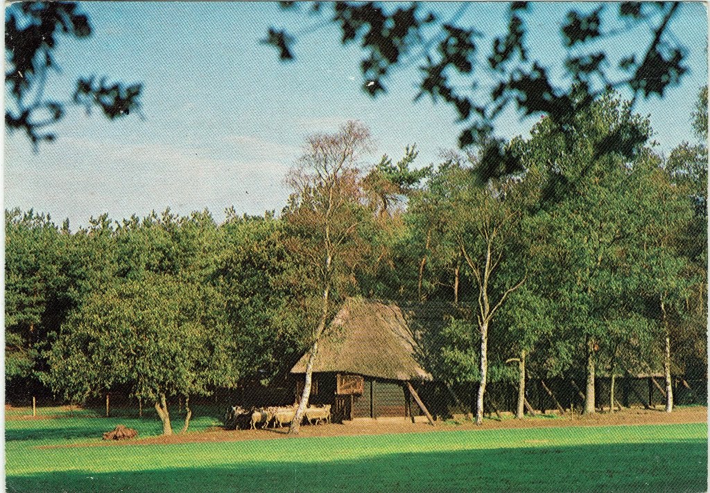 Loenen-Veluwe – Schaapskooi Loenermark., Ophalen of Verzenden, 1960 tot 1980, Gelopen, Gelderland