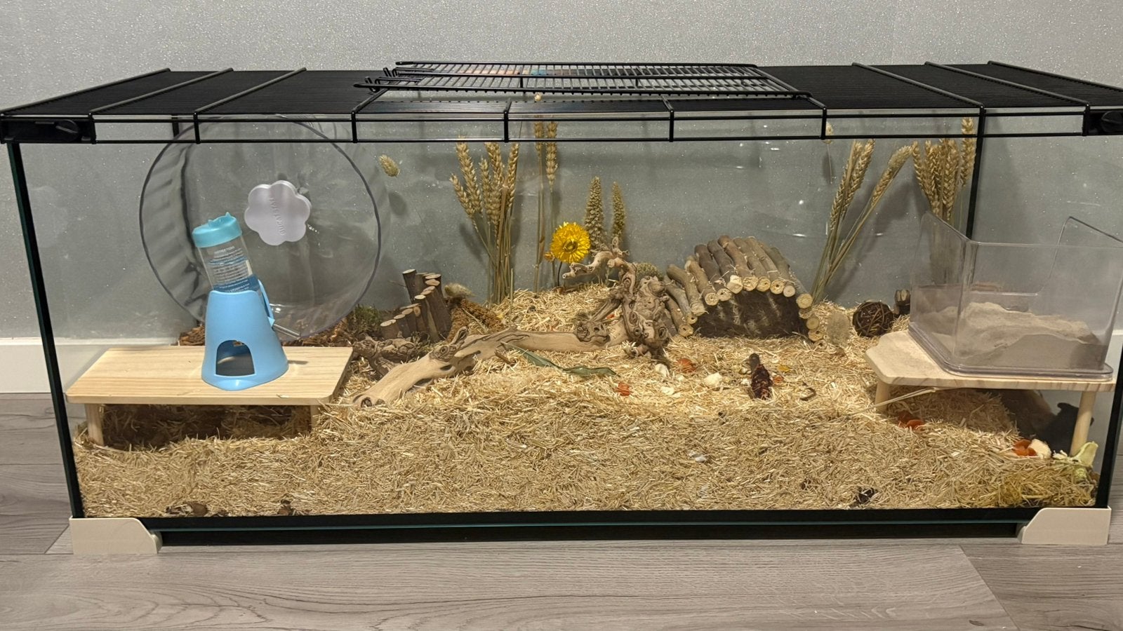 Hamster hok + benodigdheden inrichting, Dieren en Toebehoren, Zo goed als nieuw, 75 tot 110 cm, Ophalen, Minder dan 60 cm