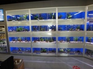 Jarathana aquarium stelling 390 cm Alu-serie, Ophalen, Nieuw, Leeg aquarium, Overige merken