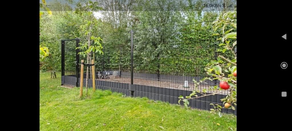 Hekwerk met looppoort te koop, Tuin en Terras, Ophalen, Met poort, Gebruikt, Dubbelstaafmat hekwerk
