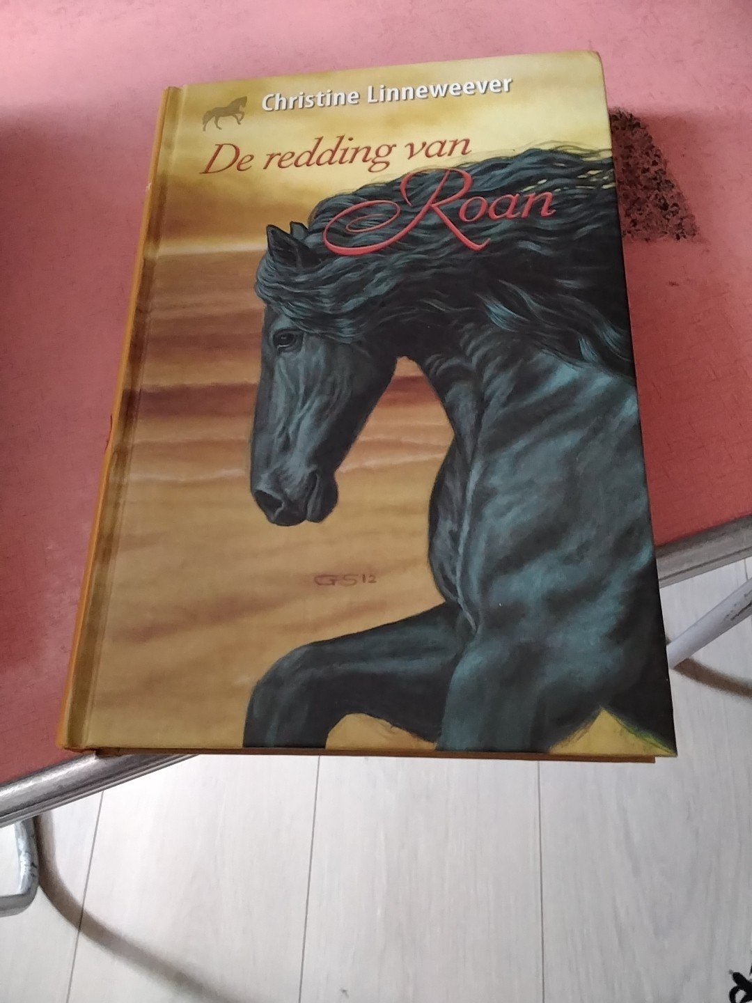 Christine linneweever de redding van roan€ 5, Boeken, Ophalen of Verzenden, Zo goed als nieuw, Fictie algemeen