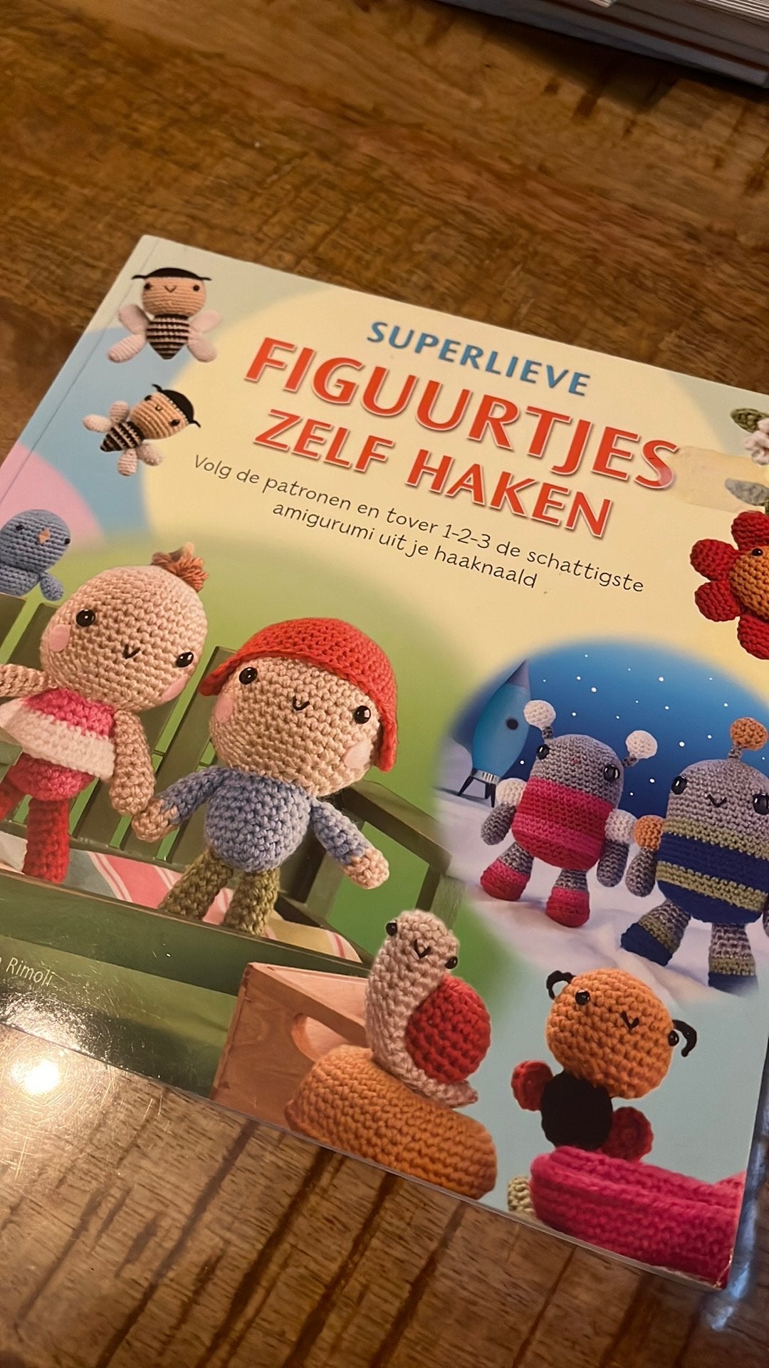 Haak boek, Hobby en Vrije tijd, Breien en Haken, Ophalen of Verzenden, Zo goed als nieuw, Haken, Patroon of Boek