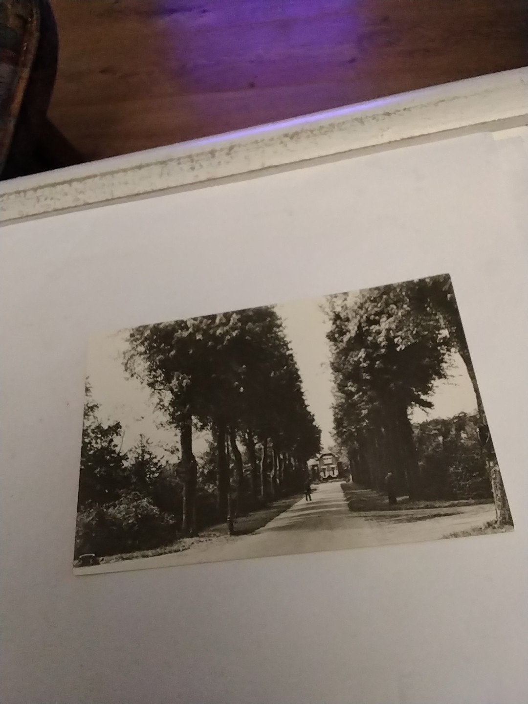 Oude ansichtkaart Vrederust Bergen op Zoom Woning Ambtenaar, Verzamelen, Ophalen of Verzenden, Voor 1920, Gelopen, Noord-Brabant