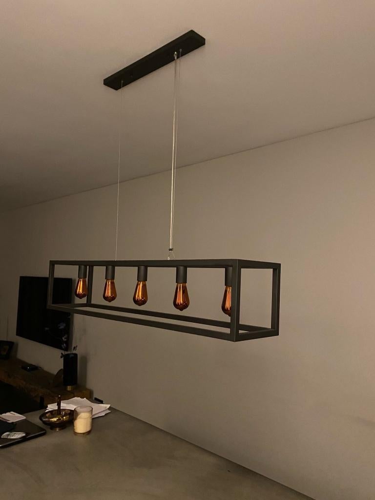 Industriële hanglamp, Ophalen, Zo goed als nieuw, Metaal, Minder dan 50 cm