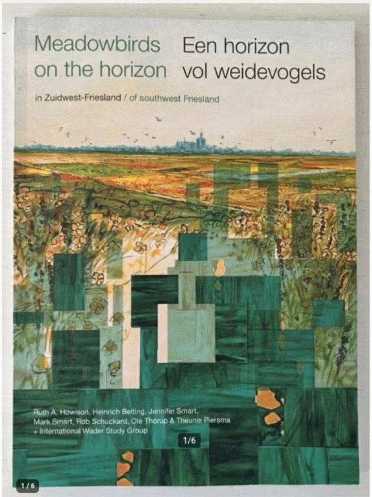 Een horizon vol weidevogels in Zuidwest-Friesland, Boeken, Ophalen of Verzenden, Zo goed als nieuw, Vogels
