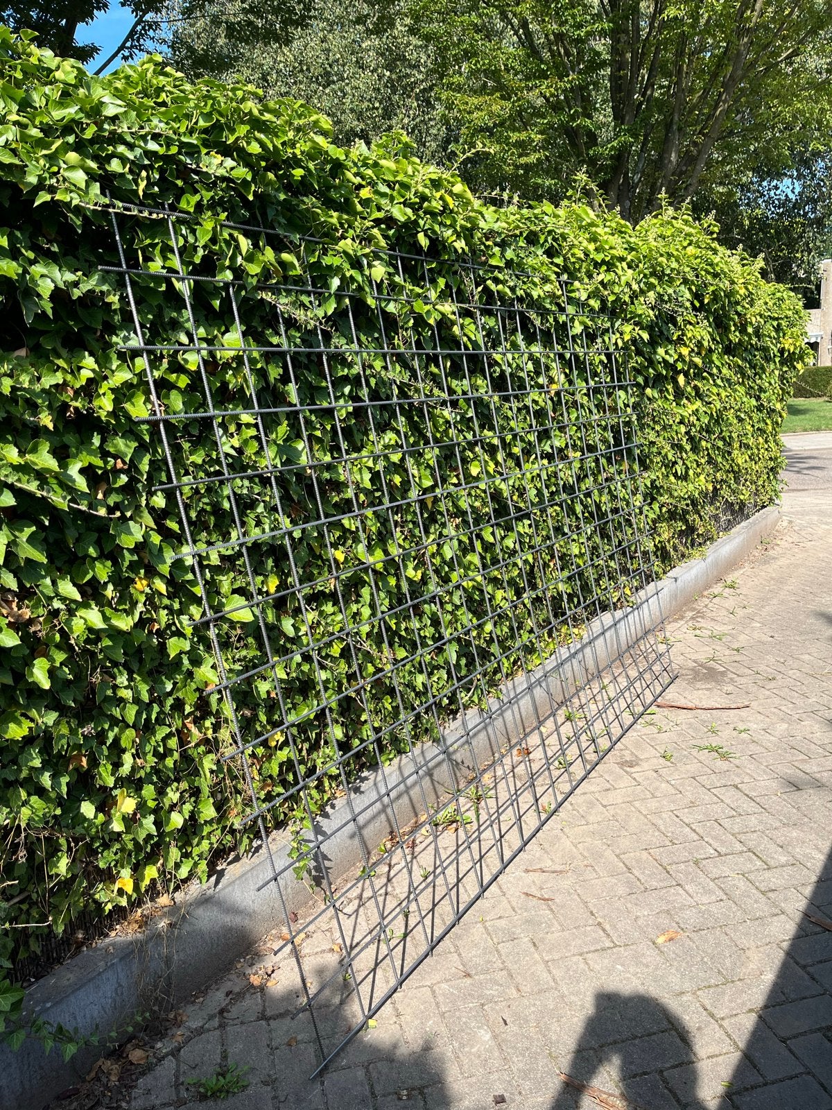 Bouwstaalmat / Betonmat 3x2m, 8mm dik, Tuin en Terras, Ophalen, Nieuw, Minder dan 10 meter, Gaas