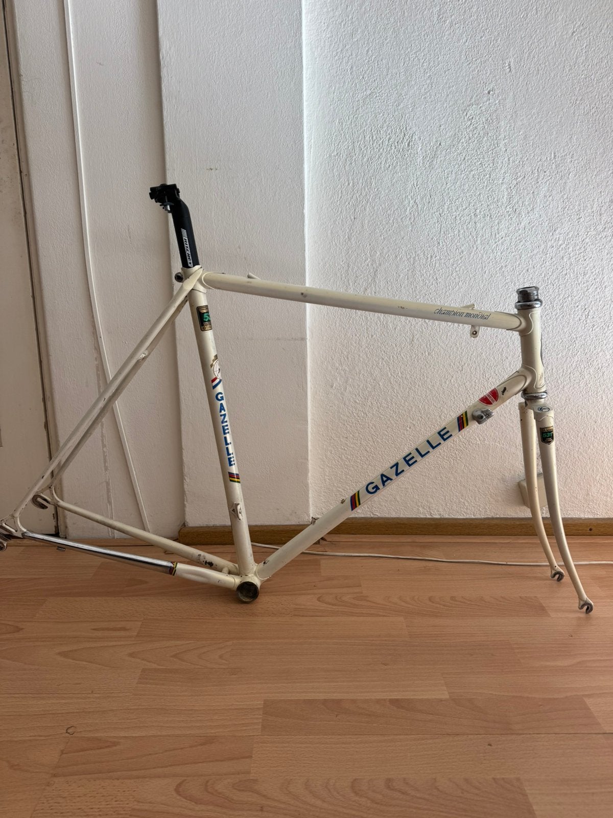 Gazelle Champion Mondial  AA-Special Frame 56 cm, Fietsen en Brommers, Fietsonderdelen, Ophalen, Frame, Gebruikt, Staal