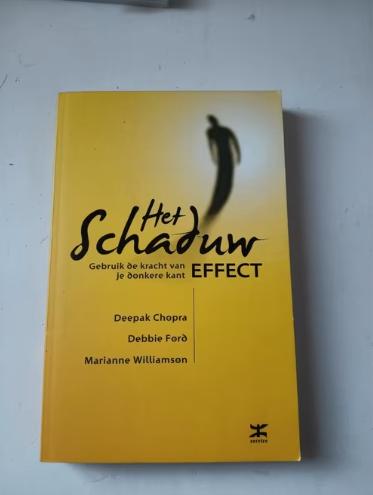 Debbie Ford - Het schaduw effect, Boeken, Ophalen of Verzenden, Zo goed als nieuw, Ontwikkelingspsychologie