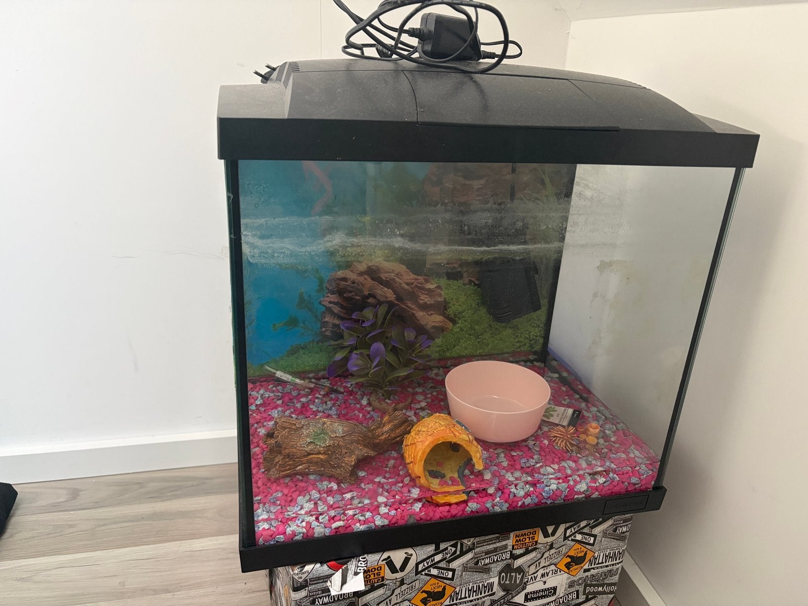 Klein aquarium., Ophalen, Gebruikt