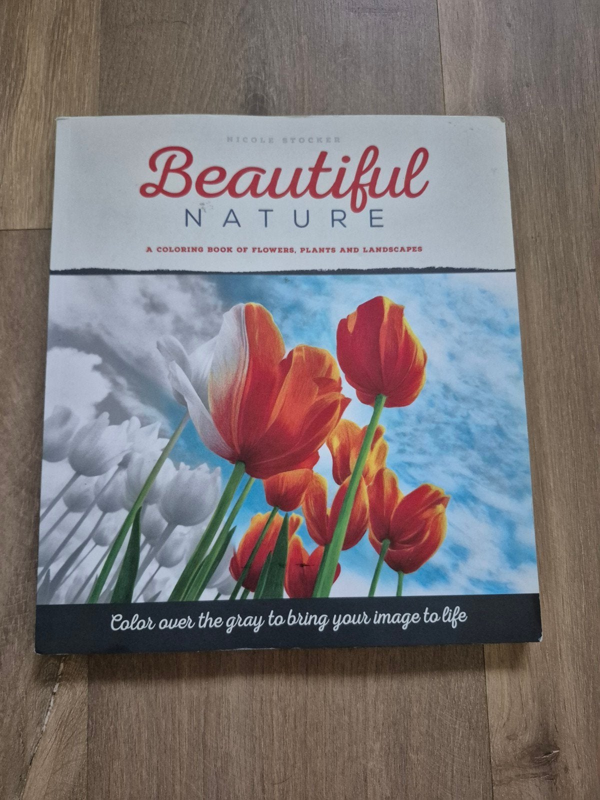 Prachtig, bijzonder kleurboek, Ophalen of Verzenden