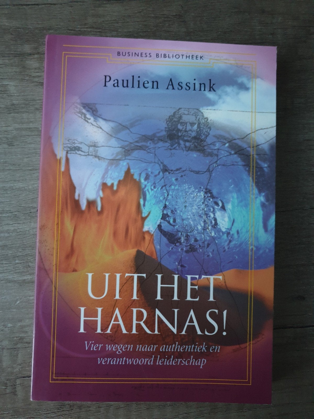 Uit het Harnas! - Paulien Assink (Business Bibliotheek), Ophalen of Verzenden, Gelezen, Paulien Assink