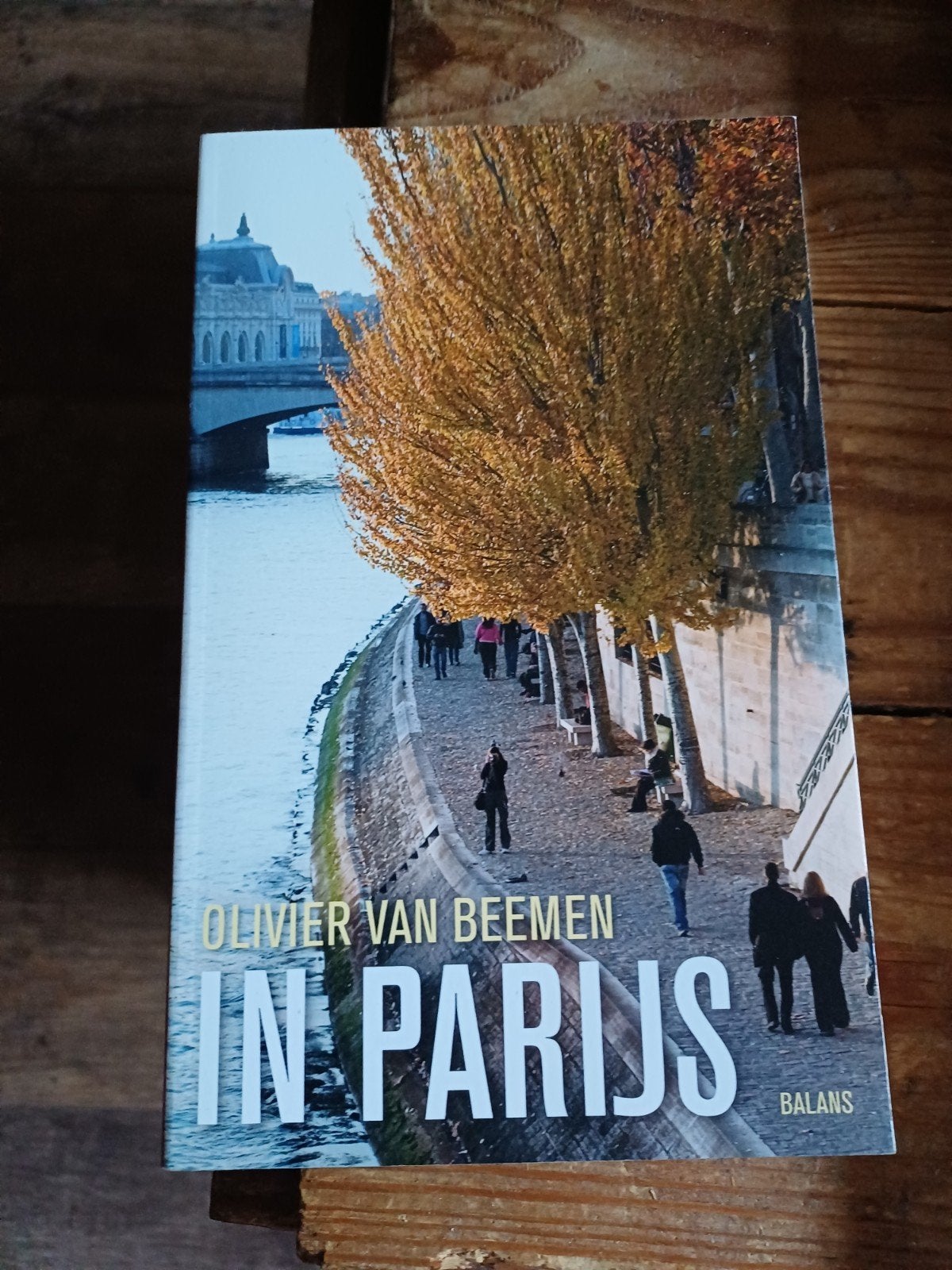 In Parijs - Olivier van Beemen (Boek), Boeken, Reisgidsen, Zo goed als nieuw, Reisgids of -boek, Europa, Overige merken, Ophalen of Verzenden
