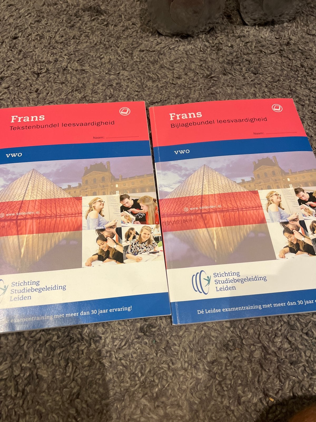 Frans SSL VWO Tekstenbundel & Bijlagebundel leesvaardigheid, Boeken, Ophalen of Verzenden, Zo goed als nieuw, Non-fictie