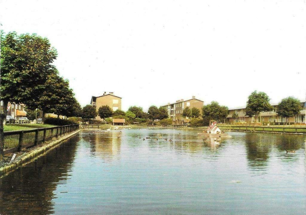 AK 's-Gravenzande - Zwanenvijver, Verzenden, 1960 tot 1980, Ongelopen, Zuid-Holland