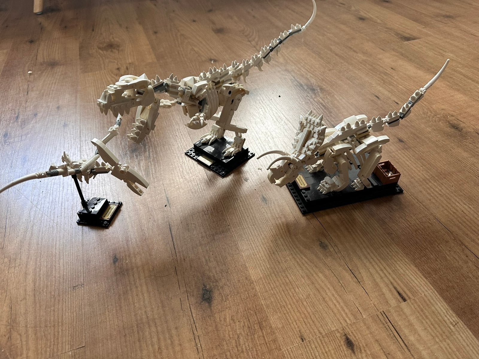 Lego Ideas 21320 Fossils, Ophalen of Verzenden, Zo goed als nieuw