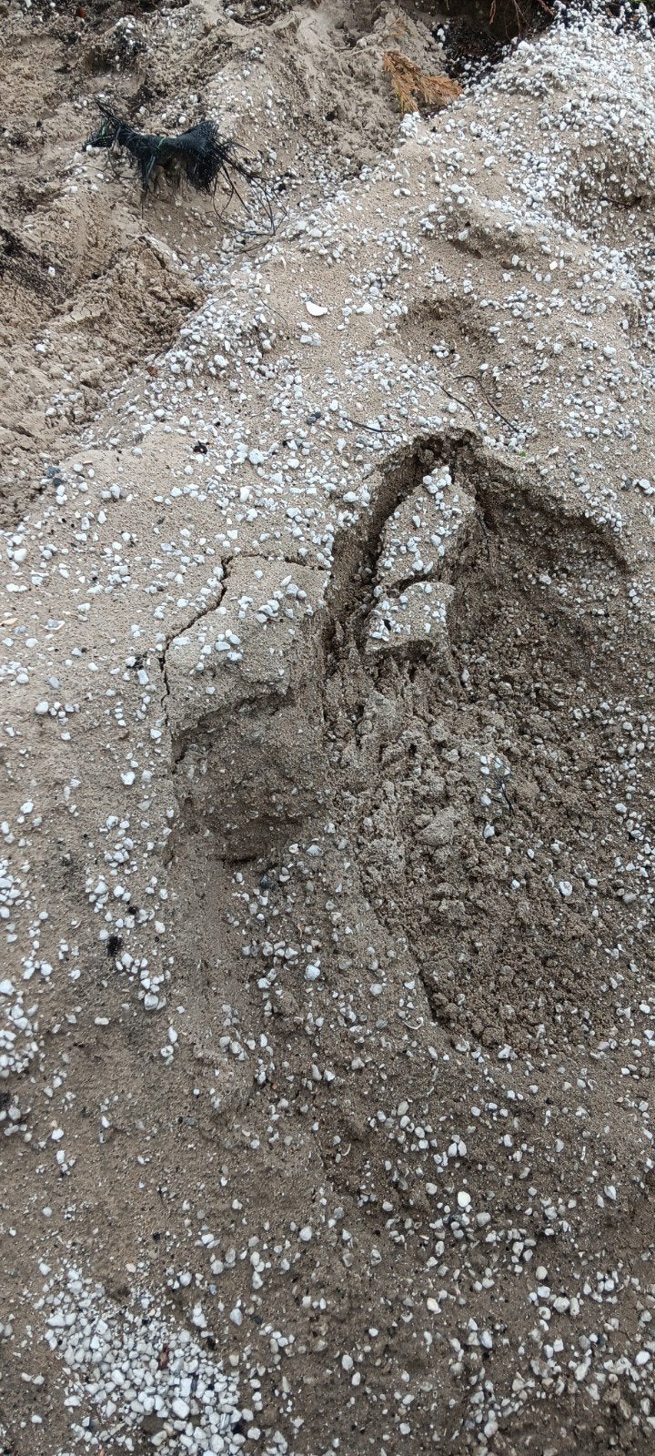 Gratis zand, Ophalen, Gebruikt, Ophoogzand