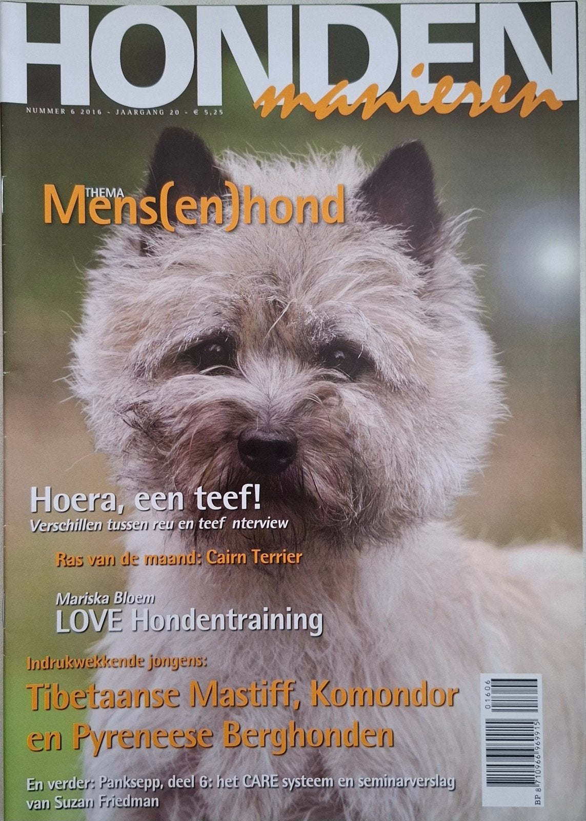 Hondenmanieren 2016 nr 6 Nieuw Cairn Terrier, Ophalen of Verzenden