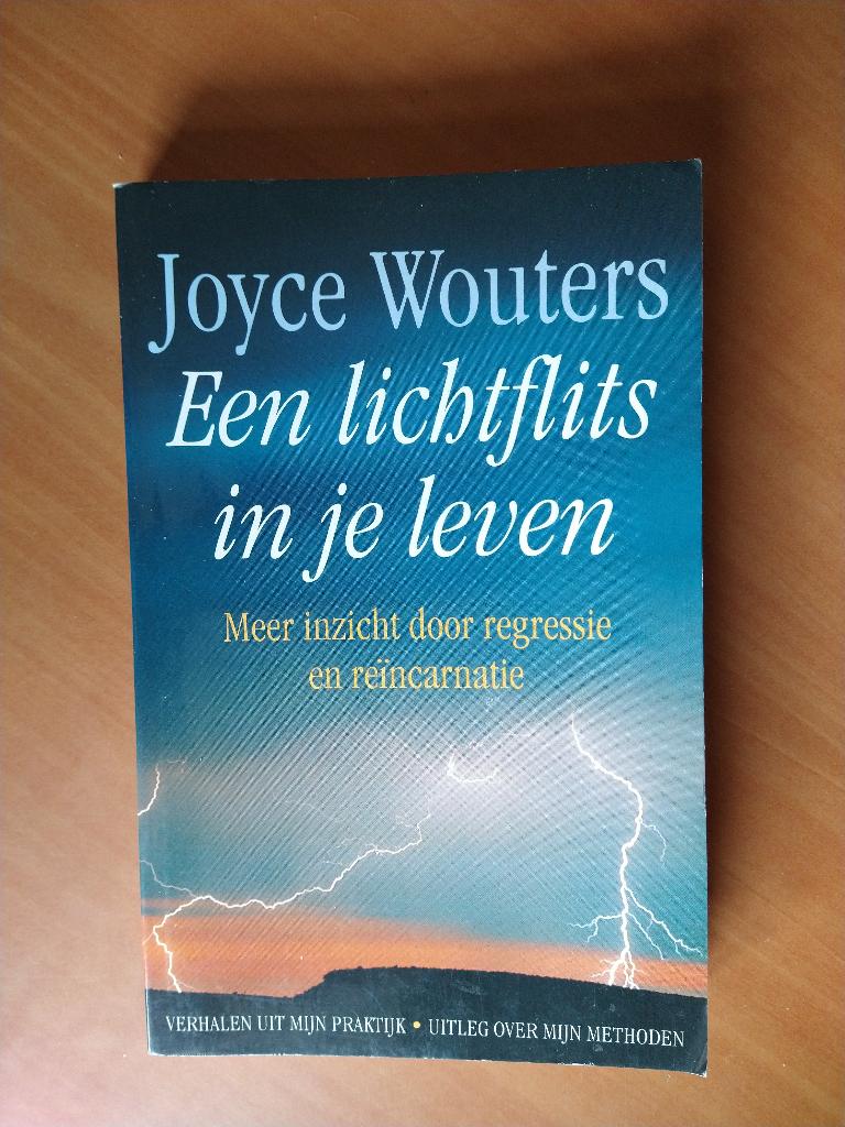 Wouters, Joyce. Een lichtflits in je leven, Boeken, Ophalen of Verzenden, Gelezen, Management