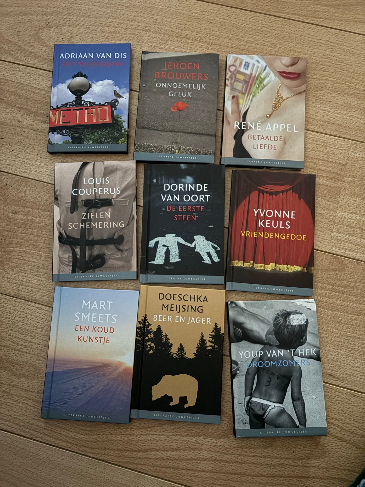 9 literaire juweeltjes van bekende Nederlandse auteurs, Ophalen of Verzenden, Zo goed als nieuw, Nederland