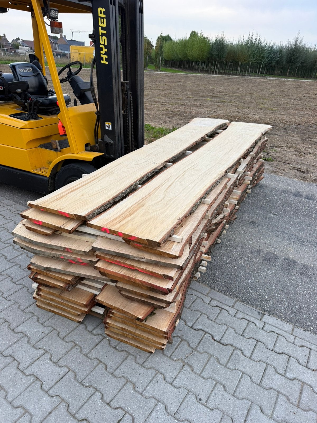 28 mooie eiken Schaaldelen 350x30-40x2,5 cm