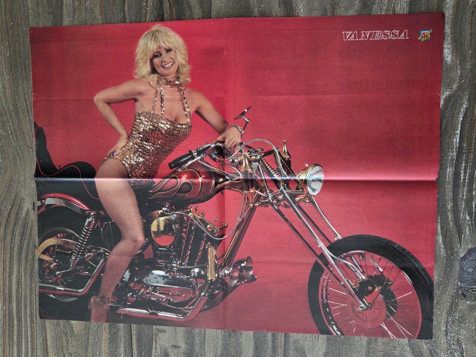 Vintage Poster van zangeres: Vanessa - Jaren '80, Rechthoekig Staand, Verzenden, Zo goed als nieuw, A1 t/m A3