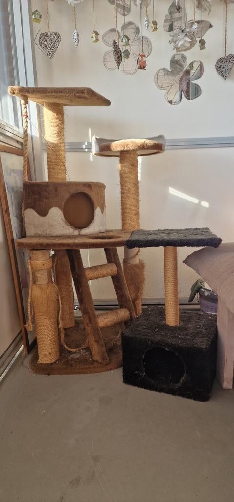 Katten palen gratis afhalen, Ophalen, Krabpaal