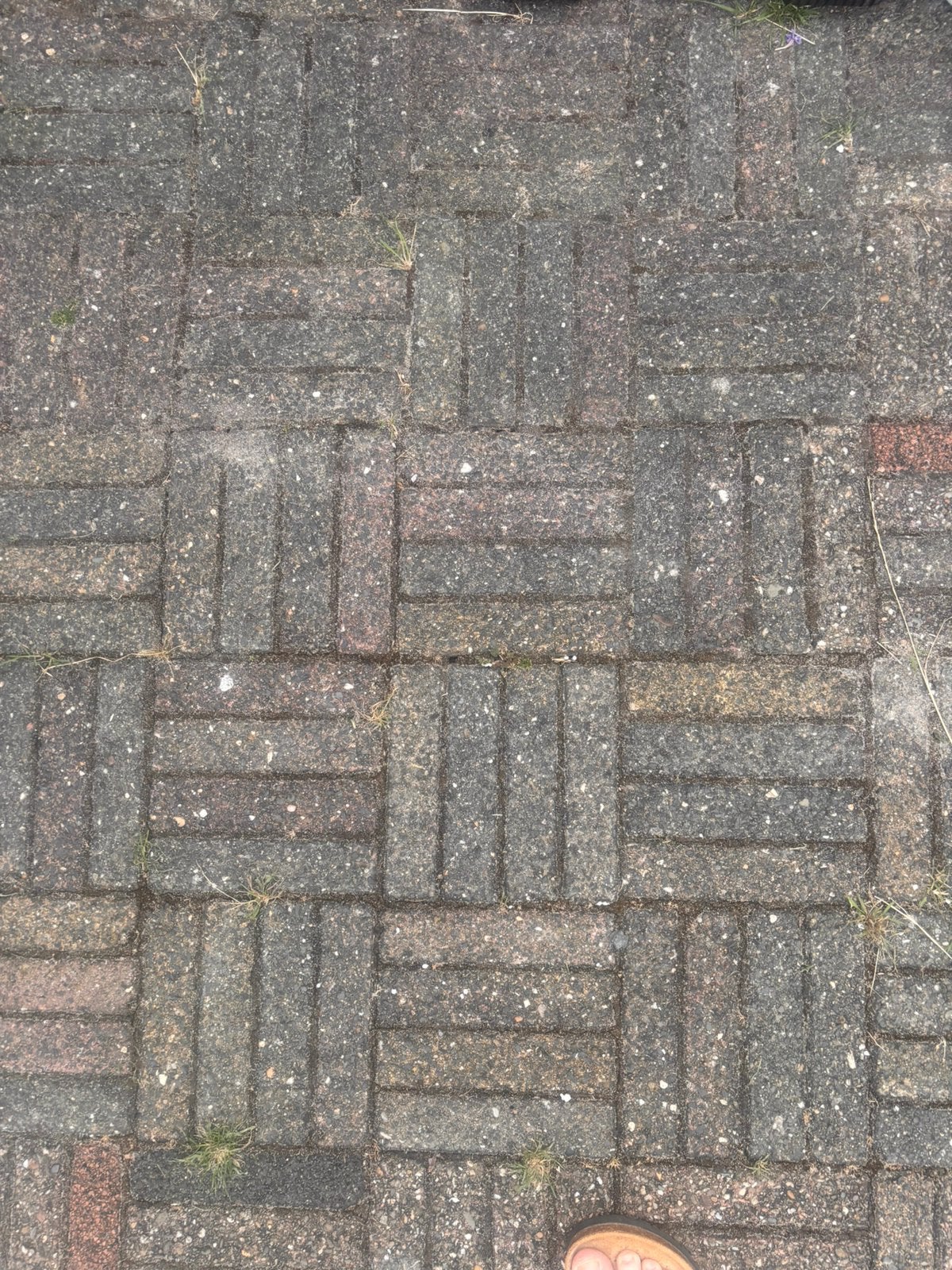 28 m2 waaltjes/betonklinkers 20x6x5, Tuin en Terras, Ophalen, Gebruikt, Beton, Klinkers