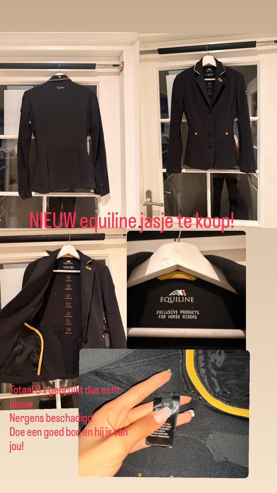 NIEUW equiline jasje, Ophalen of Verzenden, Zo goed als nieuw, Springen, Bovenkleding