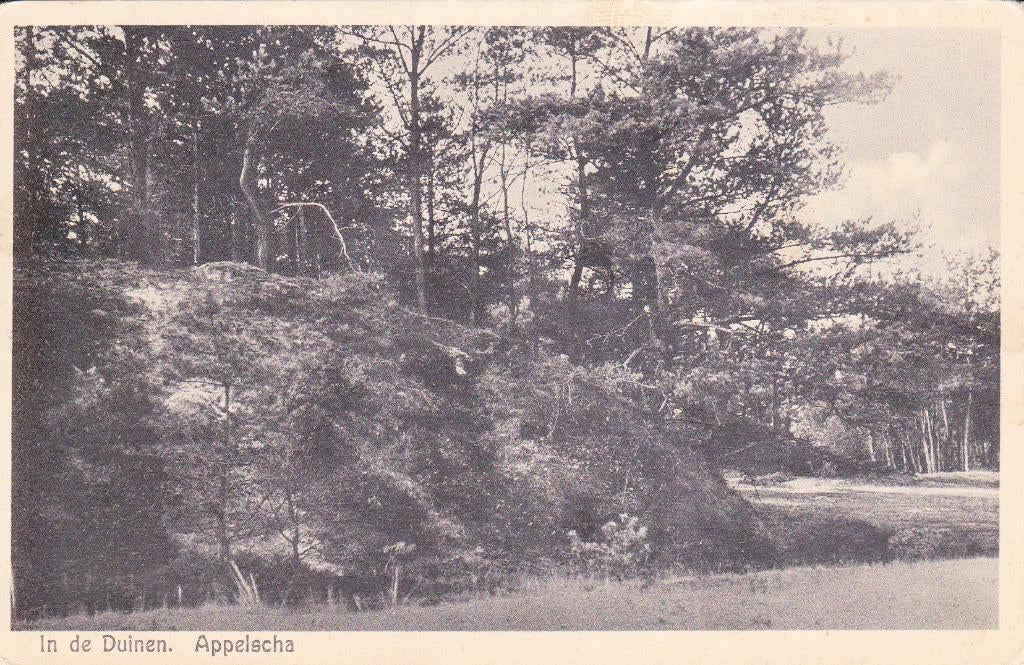 07566 Appelscha - In de Duinen - gel. 1922, Verzenden, 1920 tot 1940, Gelopen, Friesland