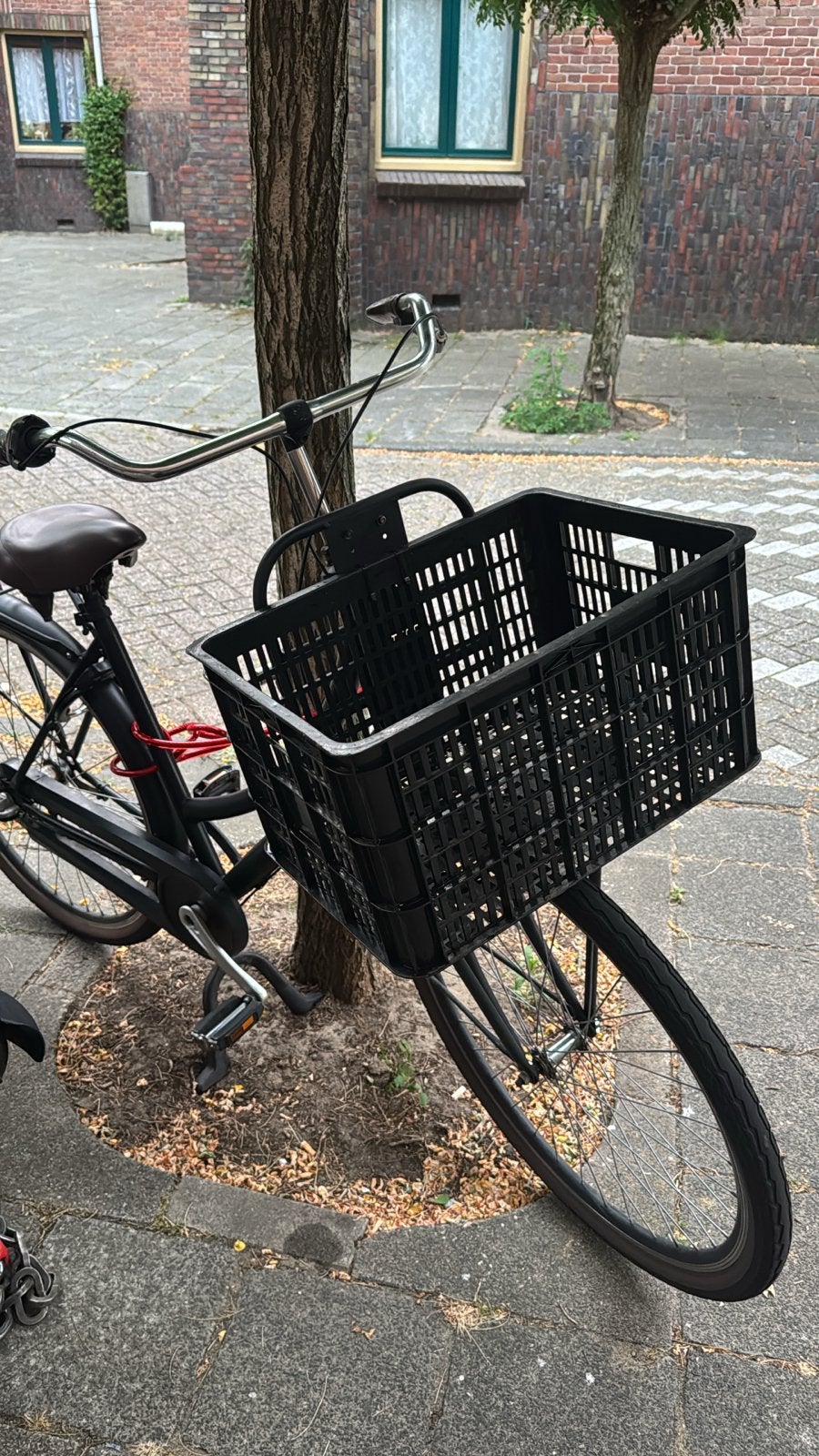 Cortego transportfiets met voordrager en mand, Terugtraprem, Versnellingen, Ophalen, Overige merken