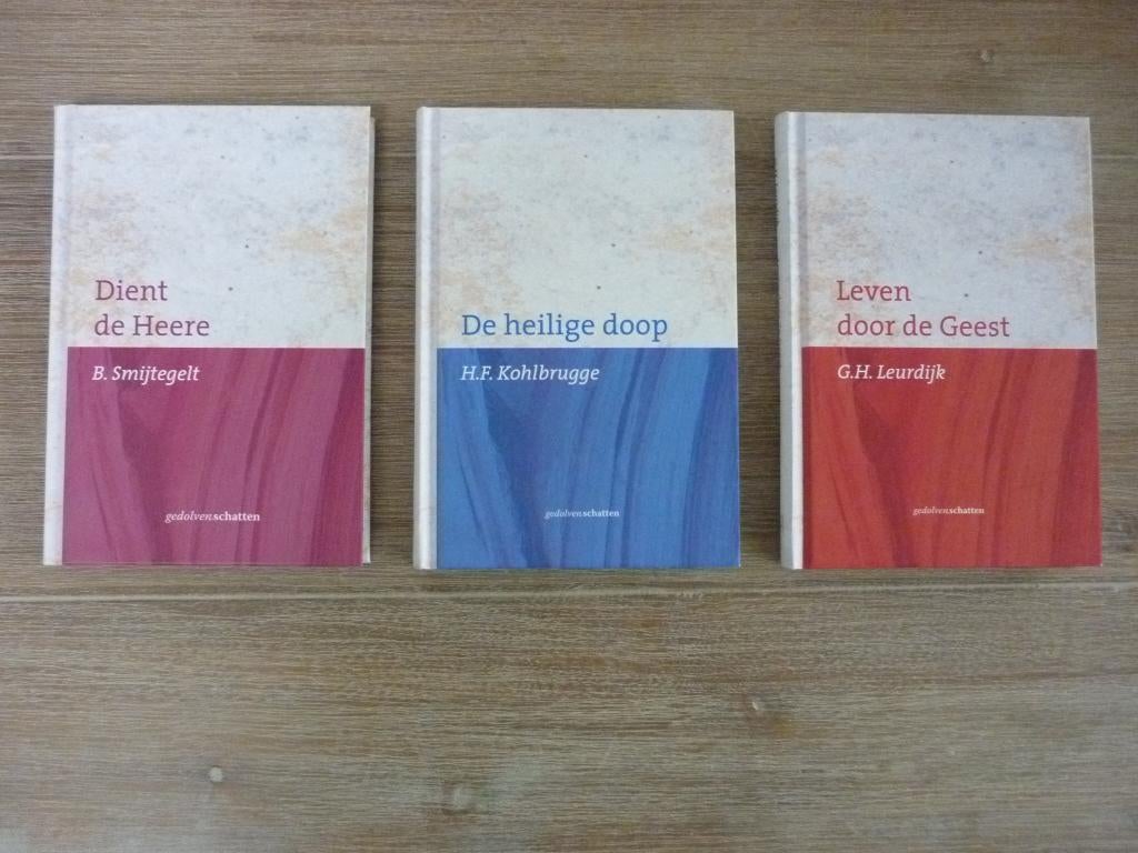 Serie gedolvenschatten B. Smytegelt - Dient de Heere, Boeken, Ophalen of Verzenden, Zo goed als nieuw, Christendom | Protestants