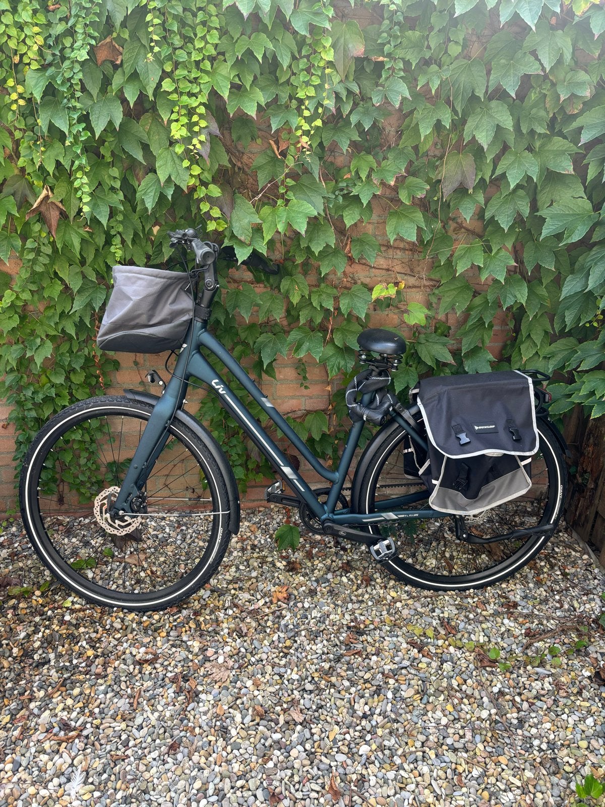 Gloednieuwe Liv Allure Damesfiets, Versnellingen, Nieuw, Schijfrem, Ophalen