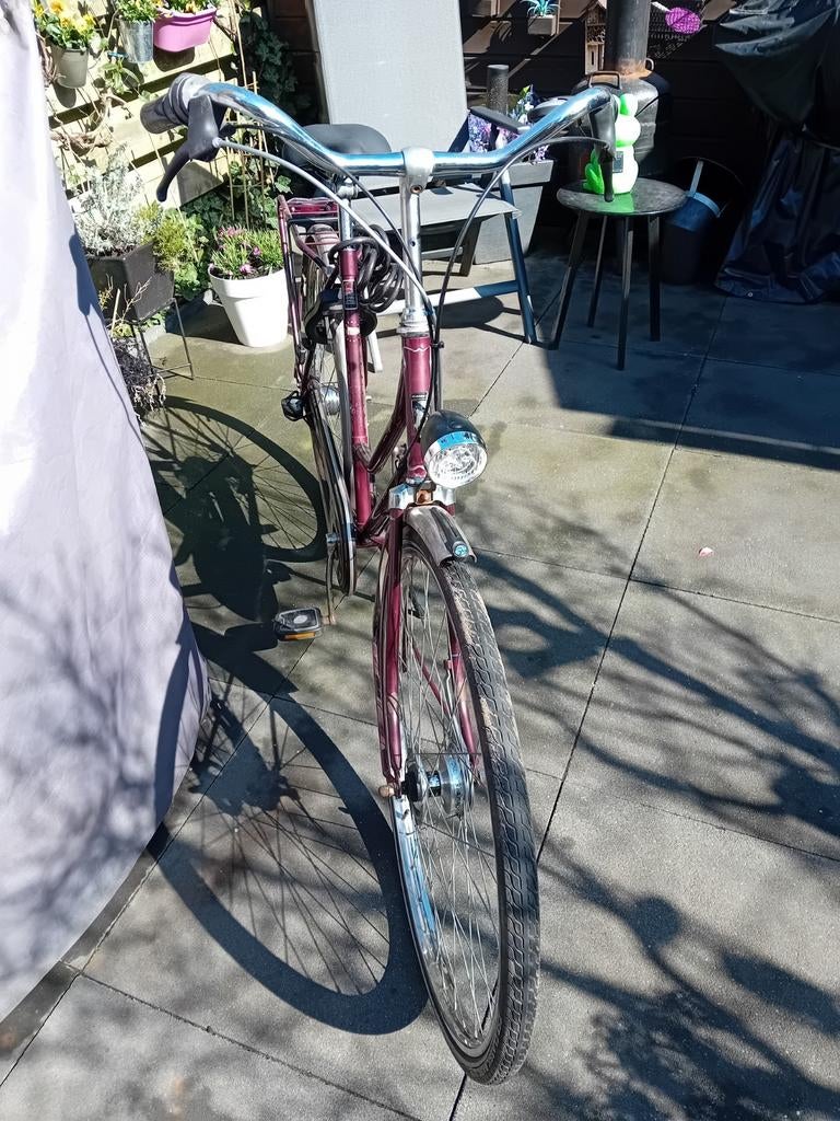 Batavus Locarno Damesfiets 28 inch - Ideaal voor student, Ophalen, Gebruikt, Batavus